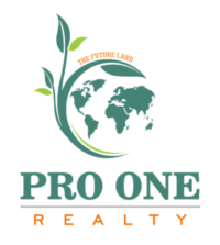 PRO ONE Realty